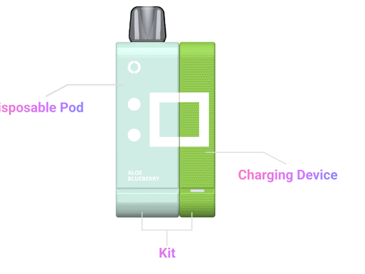 Elf Bar Snap EW14000 vape kit labeled with disposable pod and charging device, featuring Aloe Blueberry flavor and modular design.