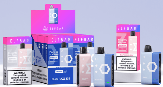 Elf Bar Snap EW14000 vape kit labeled with disposable pod and charging device, featuring Aloe Blueberry flavor and modular design.